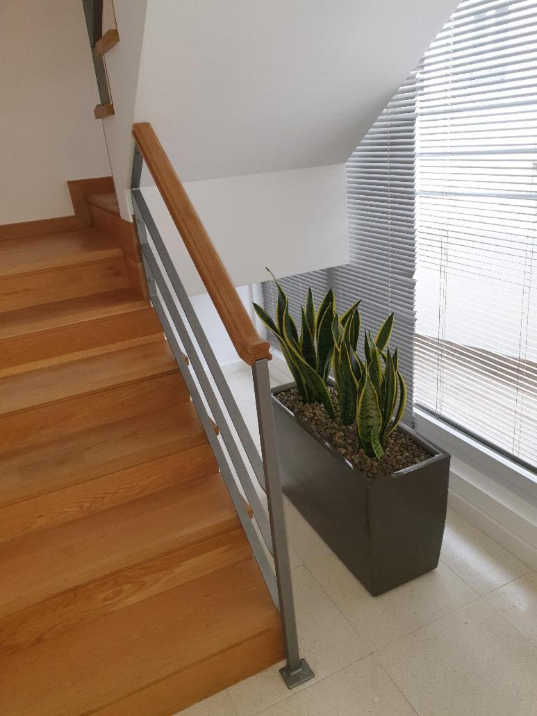 Altavista Penthouse T2 Leilighet Covilhã Rom bilde